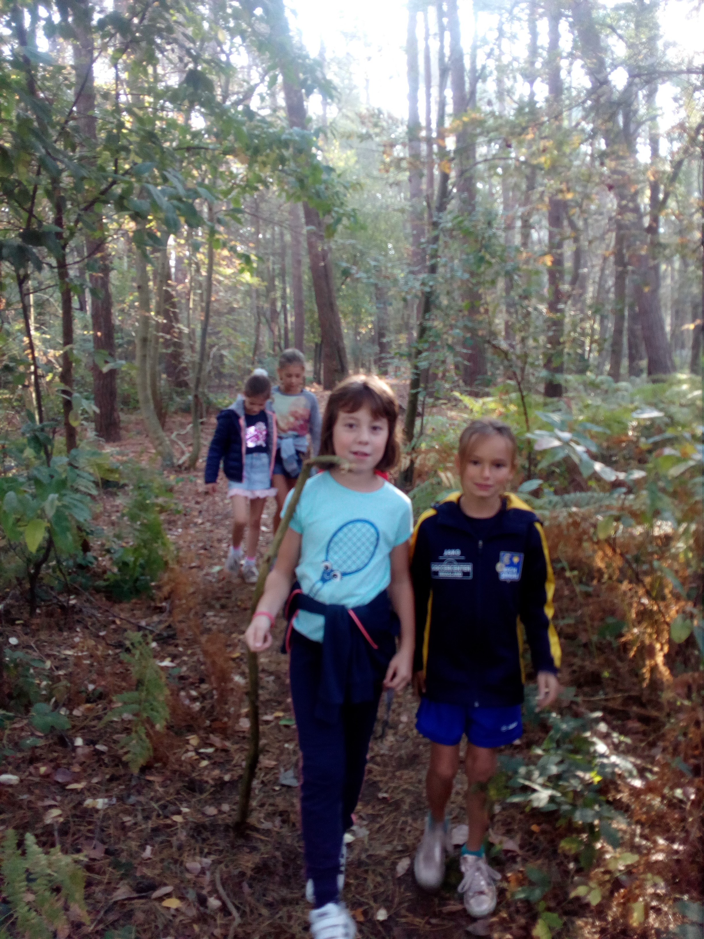 Week van het bos